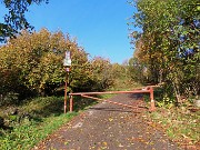 Alla Madonnina del Costone (1195 m) in veste autunnale da Salmezza-21ott24 - FOTOGALLERY